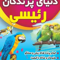 دنیای پرندگان رئیسی