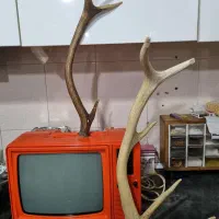 تلویزون قدیمی سالم|تلویزیون و پروژکتور|علی‌آباد کتول, |دیوار