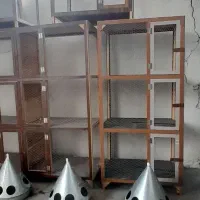 جفت کنی  کبوتر
