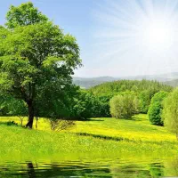 هیپنوتیزم
