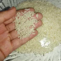 برنج هاشمی بدون سوتینک.خوش عطر خوش پخت