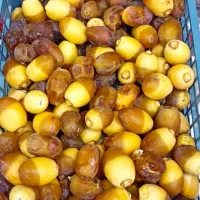 رطب سال جدید۴۰۵