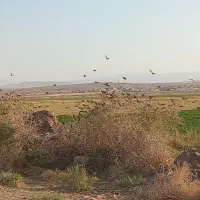 سرمایه گذاری اینده دار