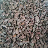 کشمش مویز|خوردنی و آشامیدنی|شیراز, میانرود|دیوار