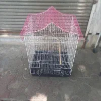 فروش قفس