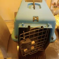 باکس سگ طرح Raha