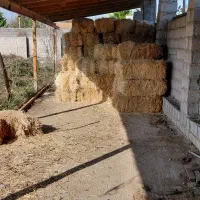 کاه گندم پرس