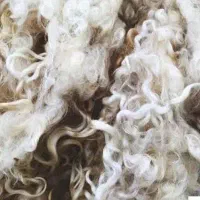 شسته شده هستن