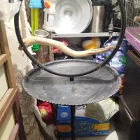 استند پرندگان
