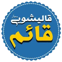قالیشویی ومبل شویی قائم