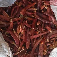 فلفل خشک، فلفل قرمز ، فلفل شاخ بزی، فلفل تند|عمدهفروشی|داراب, |دیوار