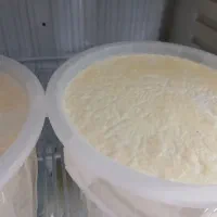لبنیات محلی و طبیعی مستقیم از دامدار|خوردنی و آشامیدنی|اسلام‌شهر, شهرک مفیدی|دیوار