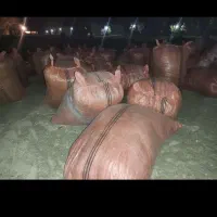 کاه گندم بسیار نرم