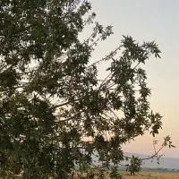 باغ شهری کنار جاده