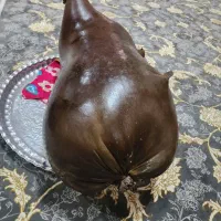 هیزه|صنایع دستی و سایر لوازم تزئینی|ایوان, |دیوار