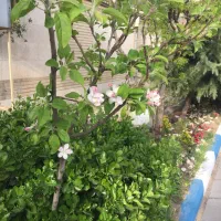 استخدام نگهبان مجتمع مسکونی