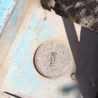 پیکور بابکت msb|ماشین‌آلات صنعتی|چهاردانگه (تهران), |دیوار