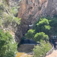 پروانه-دار-وتک-سند