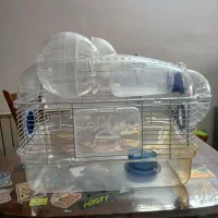 قفس جوندگان|موش و خرگوش|تهران, سازمان برنامه جنوبی|دیوار