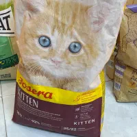 غذای گربه جوسرا کیتن وبالغ کتلوکس josera اصل آلمان|لوازم جانبی حیوانات|اهواز, گلستان|دیوار