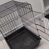 قفس بزرگ نو