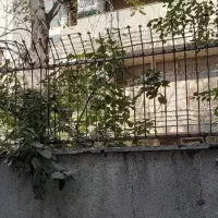 فروش زمین اکازیون|فروش زمین و ملک کلنگی|تهران, شیخ هادی|دیوار