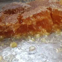 عسل با موم درجه یک|خوردنی و آشامیدنی|اهواز, زیتون کارگری|دیوار