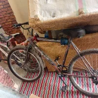 4عدد دوچرخه|دوچرخه، اسکیت، اسکوتر|بوئین و میاندشت, |دیوار