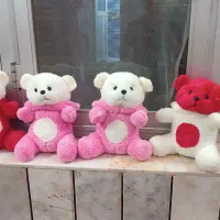 عروسک خرس کلاه دار
