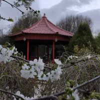 اجاره کوتاه مدت باغ ویلا