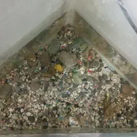 ماهی|ماهی|رباط‌کریم, الارد|دیوار