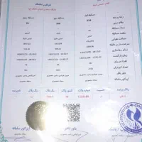 پرنده،کبوتر،پلاکی شناسنامه دار