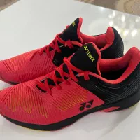 کفش تنیس/بدمینتون