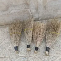 جارو باغی