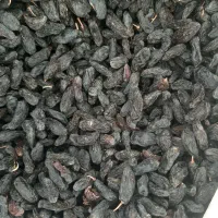 مویز شاهانی سلطانی درجه ۱ و اعلا