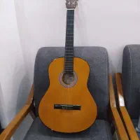 گیتار به همراه کیف