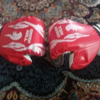 دستکش بوکس|تجهیزات ورزشی|نورآباد ممسنی, |دیوار