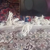 فرش ۱۲ و ۹متری|فرش|تهران, بیسیم|دیوار