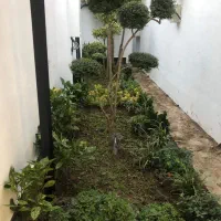 باغبانی تعویض گلدان در کرج چهارباغ مهرشهر کیانمهر|خدمات باغبانی و درختکاری|چهارباغ, |دیوار