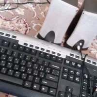 کیبرد و باند کامپیو تر
