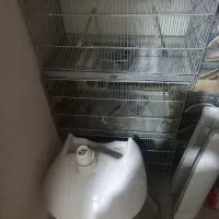 قفس دستبافت و جوجه پرون