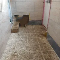 خانه حیاط دار|فروش خانه و ویلا|رباط‌کریم, رباط‌کریم|دیوار