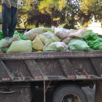 حمل نخاله با خاور  توسط بابکت و گارگر|خدمات حمل و نقل|تهران, اقدسیه|دیوار