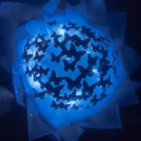 بوکت پروانه