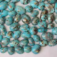 بارخونه فیروزه