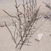 نرده حفاظ شاح گوزنی دور حیاط زیر قیمت بازار|مصالح و تجهیزات ساختمان|سراوان, |دیوار