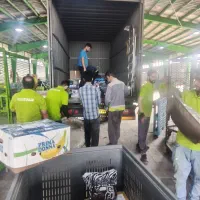 استخدام پرسنل برای کار در شرکت معتبر