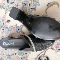 کفش|کیف، کفش، کمربند|اسدآباد, |دیوار