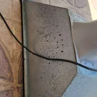 هود|هود|شیراز, دینکان|دیوار