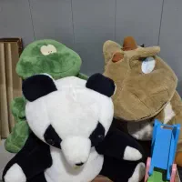 عروسک|اسباب‌بازی بچه|رشت, رودبارتان|دیوار